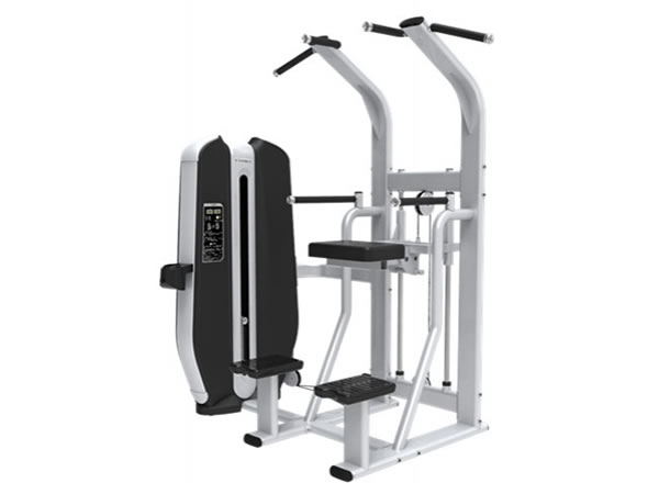 Assist Dip/Chin LDLS-021