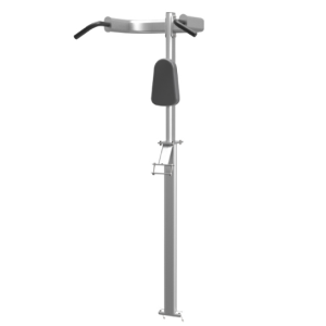 Chin-up and Dip accessory